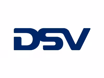 DSV Logo