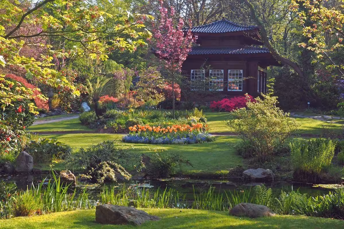 Japanischer Garten mit Teich und Bäumen im Frühling.